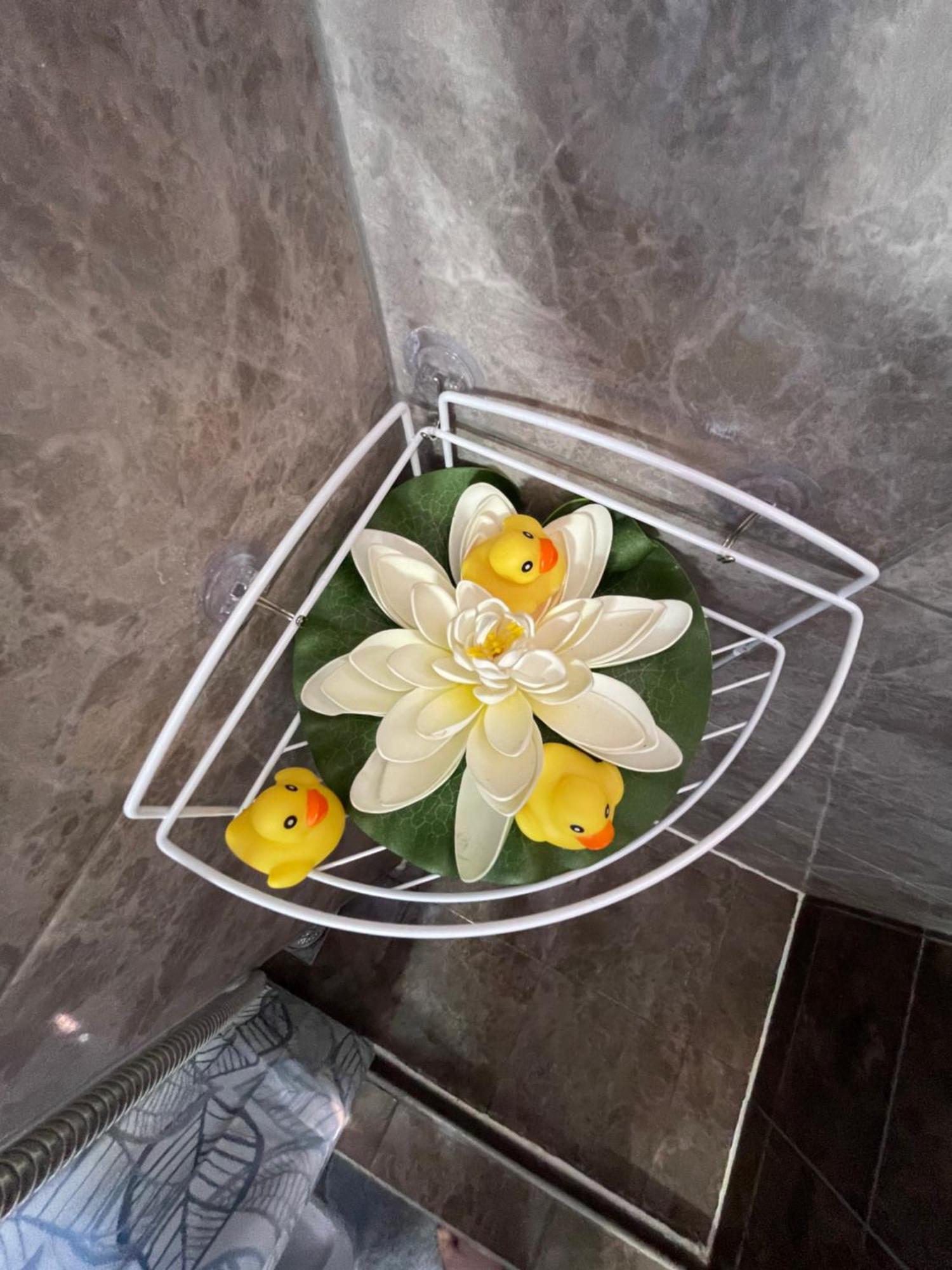 Apartment Maki コトル エクステリア 写真